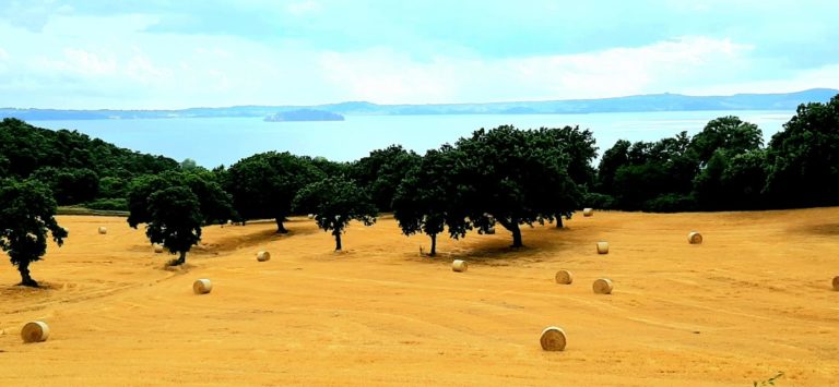 Bolsena Herbst