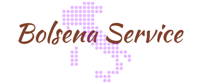 bolsenaservice